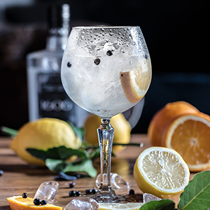 Scottish Gin Tasting Experience Voucher