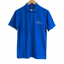 Gretna Green Polo Shirt In Sapphire