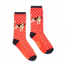 Joules Excellent Everyday Socks in Red Dog Size UK 4-8