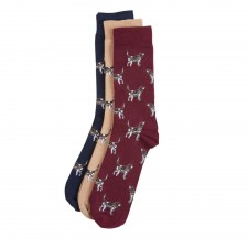 Barbour Mens Pointer Dog Socks Gift Box In Cordovan Size Medium
