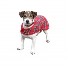 Glen Appin Royal Stewart Tartan Dog Coat
