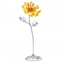 swarovski hamm
