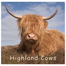 Highland Cow Gift Book