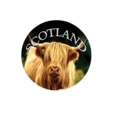 Highland Coo Glass Magnet