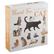 Thank You For looking After My Cat Vanilla Fudge 200g Carton