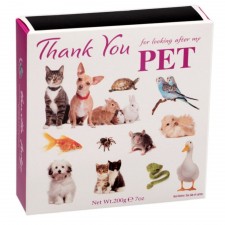 Thank You For Looking After My Pet Vanilla Fudge 200g Carton