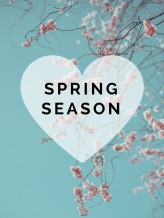 Spring Collection