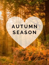 Autumn Collection