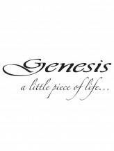 Genesis Fine Arts