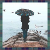 Umbrellas