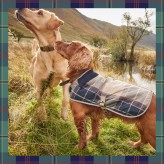 Barbour Pets