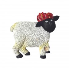 Sheep Magnet