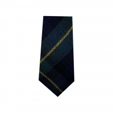 Boys Gordon Tartan Tie