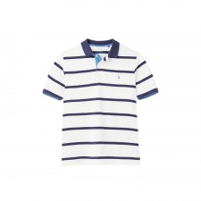 Joules Mens Filbert Striped Polo in Cream Stripe UK S