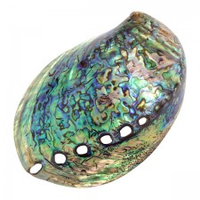 Tide Jewellery Polished Paua Shell