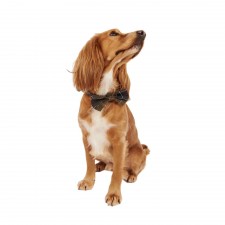 Barbour Tartan Dog Bow Tie