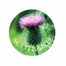Thistle Glass Magnet