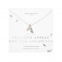 Joma Jewellery A Little &#039;Feathers Appear When Loved Ones Are Near&#039; Necklace