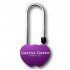 Gretna Green Purple Lovelock Padlock