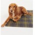 Barbour Tartan Dog Towel in Classic Tartan