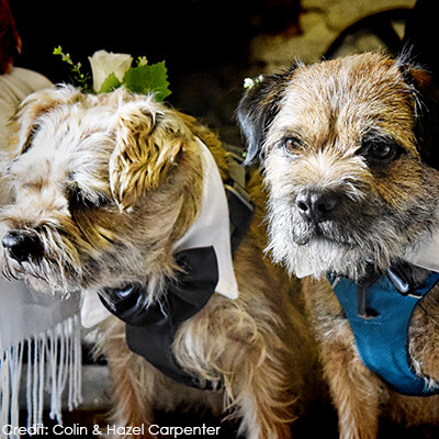 Dog-Friendly Weddings at Gretna Green