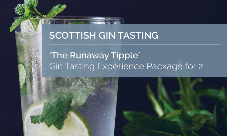 Scottish Gin Tasting Experience Voucher